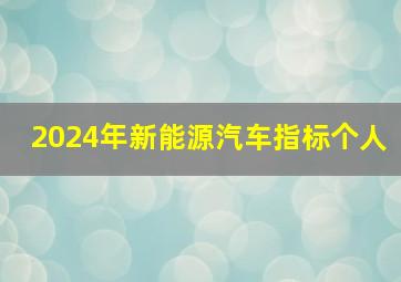 2024年新能源汽车指标个人