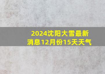 2024沈阳大雪最新消息12月份15天天气