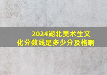 2024湖北美术生文化分数线是多少分及格啊