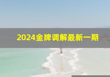 2024金牌调解最新一期