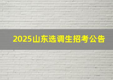 2025山东选调生招考公告