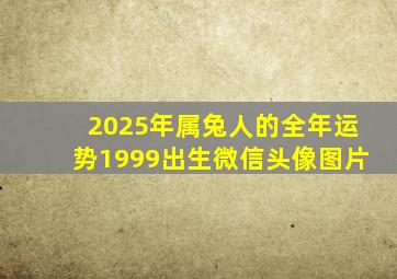 2025年属兔人的全年运势1999出生微信头像图片