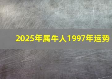 2025年属牛人1997年运势