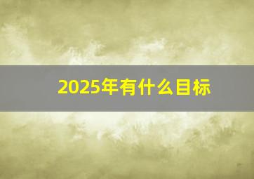 2025年有什么目标