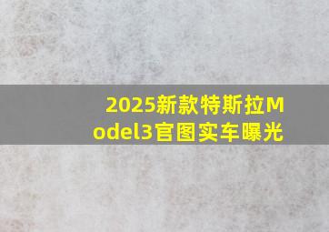 2025新款特斯拉Model3官图实车曝光