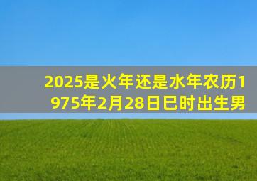 2025是火年还是水年农历1975年2月28日巳时出生男