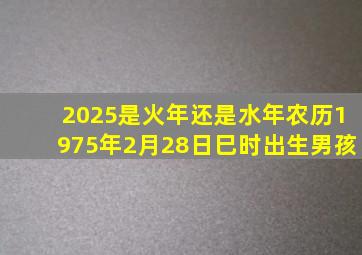 2025是火年还是水年农历1975年2月28日巳时出生男孩