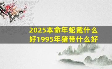 2025本命年蛇戴什么好1995年猪带什么好