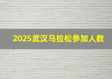 2025武汉马拉松参加人数