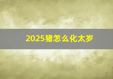 2025猪怎么化太岁