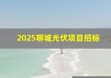 2025聊城光伏项目招标