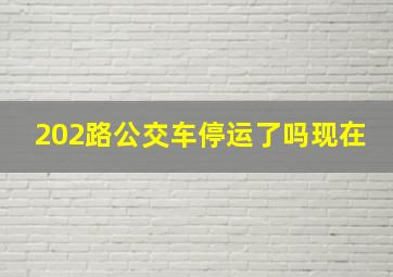 202路公交车停运了吗现在