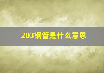 203钢管是什么意思