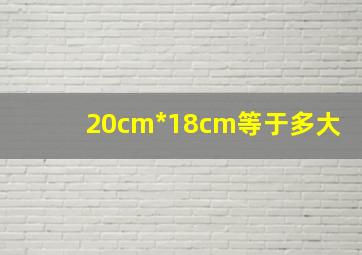 20cm*18cm等于多大