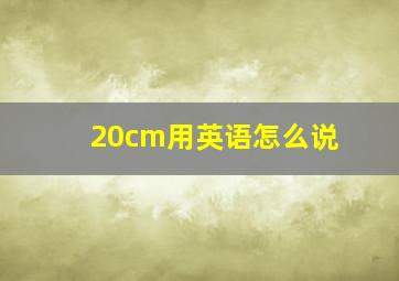 20cm用英语怎么说