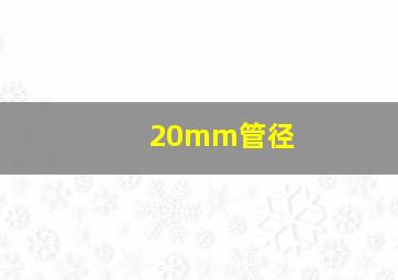 20mm管径