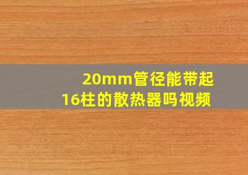 20mm管径能带起16柱的散热器吗视频