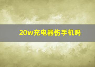 20w充电器伤手机吗