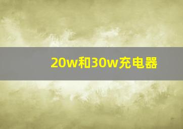 20w和30w充电器