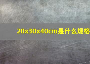 20x30x40cm是什么规格