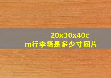 20x30x40cm行李箱是多少寸图片