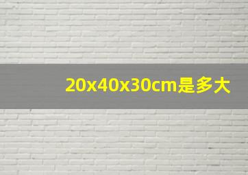 20x40x30cm是多大