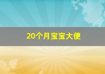 20个月宝宝大便