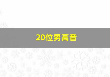 20位男高音