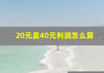 20元卖40元利润怎么算