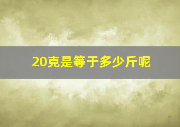 20克是等于多少斤呢