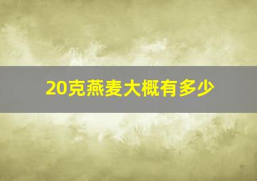 20克燕麦大概有多少