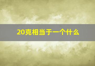 20克相当于一个什么