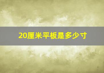 20厘米平板是多少寸