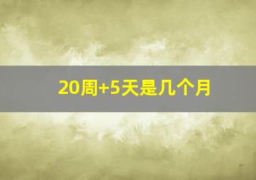 20周+5天是几个月