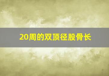 20周的双顶径股骨长