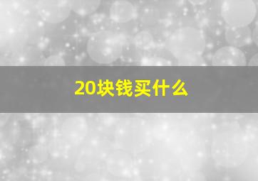 20块钱买什么