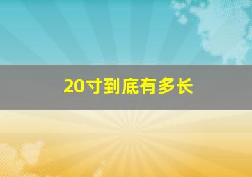 20寸到底有多长