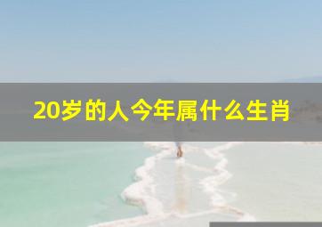 20岁的人今年属什么生肖