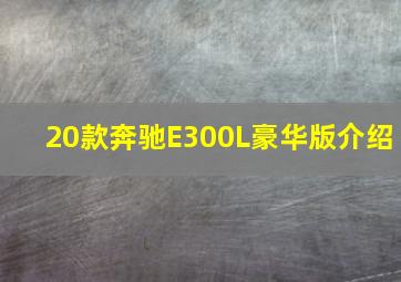 20款奔驰E300L豪华版介绍