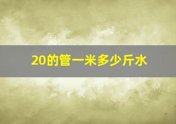 20的管一米多少斤水