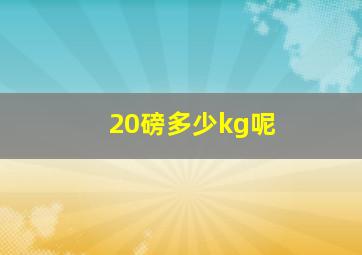 20磅多少kg呢