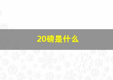 20磅是什么