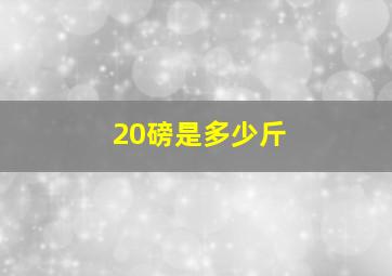 20磅是多少斤