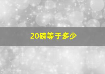 20磅等于多少