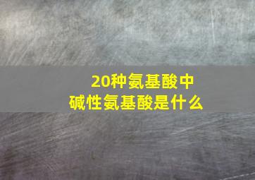 20种氨基酸中碱性氨基酸是什么