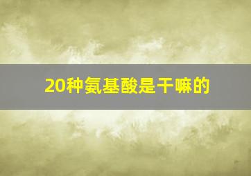 20种氨基酸是干嘛的