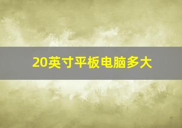 20英寸平板电脑多大