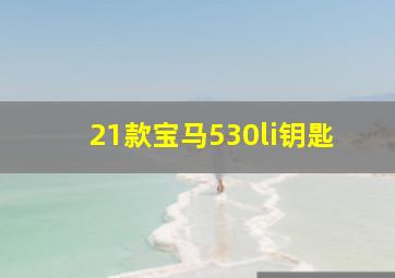 21款宝马530li钥匙