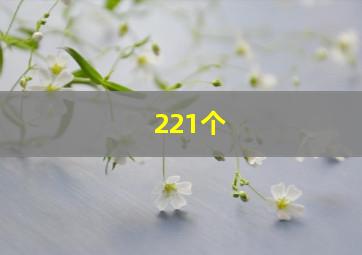 221个