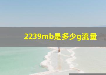 2239mb是多少g流量